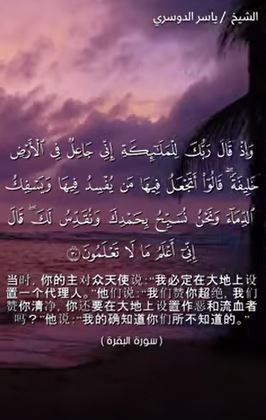 البقرة 30 (باللغة الصينية)