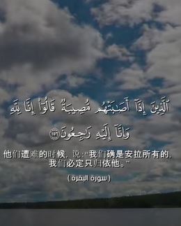 سورة البقرة: 156 (باللغة الصينية)