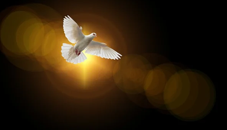 الصبر زينة المؤمن (باللغة التايلاندي)