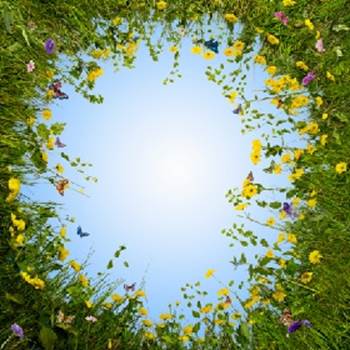 رحمة الله لا تنتهي (باللغة التايلاندي)