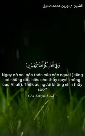 سورة الذاريات : 21 (باللغة الفيتنامي)