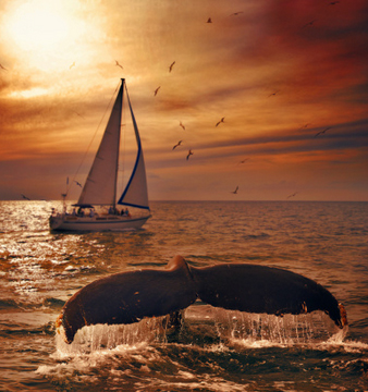 تروي مغنّية الراب ديامس تجربتها قبل اعتناقها الإسلام (باللغة التايلاندي)