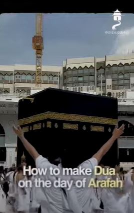 video title