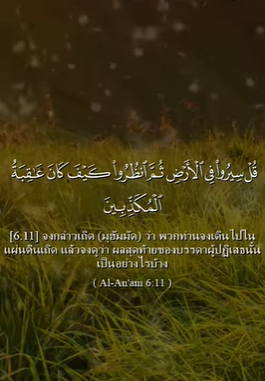 سورة الأنعام: 11 (باللغة التايلاندي)
