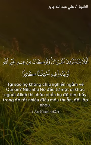 سورة النساء : 82 (باللغة الفيتنامي)