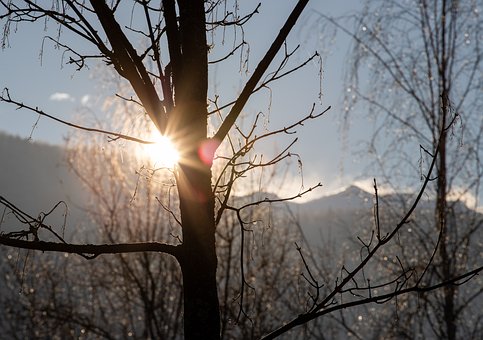 التعاون على البر والتقوى (باللغة الصينية)