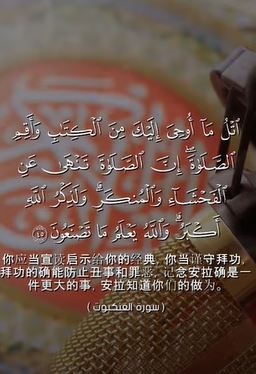 سورة العنكبوت: 45 (باللغة الصينية)