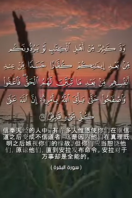 سورة البقرة: 109 (باللغة الصينية)