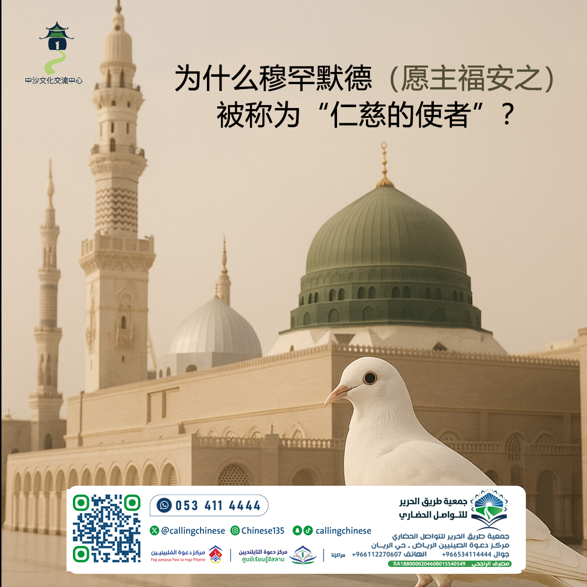 لماذا يُلقب محمد ﷺ بـ "رسول الرحمة"؟ (باللغة الصينية)