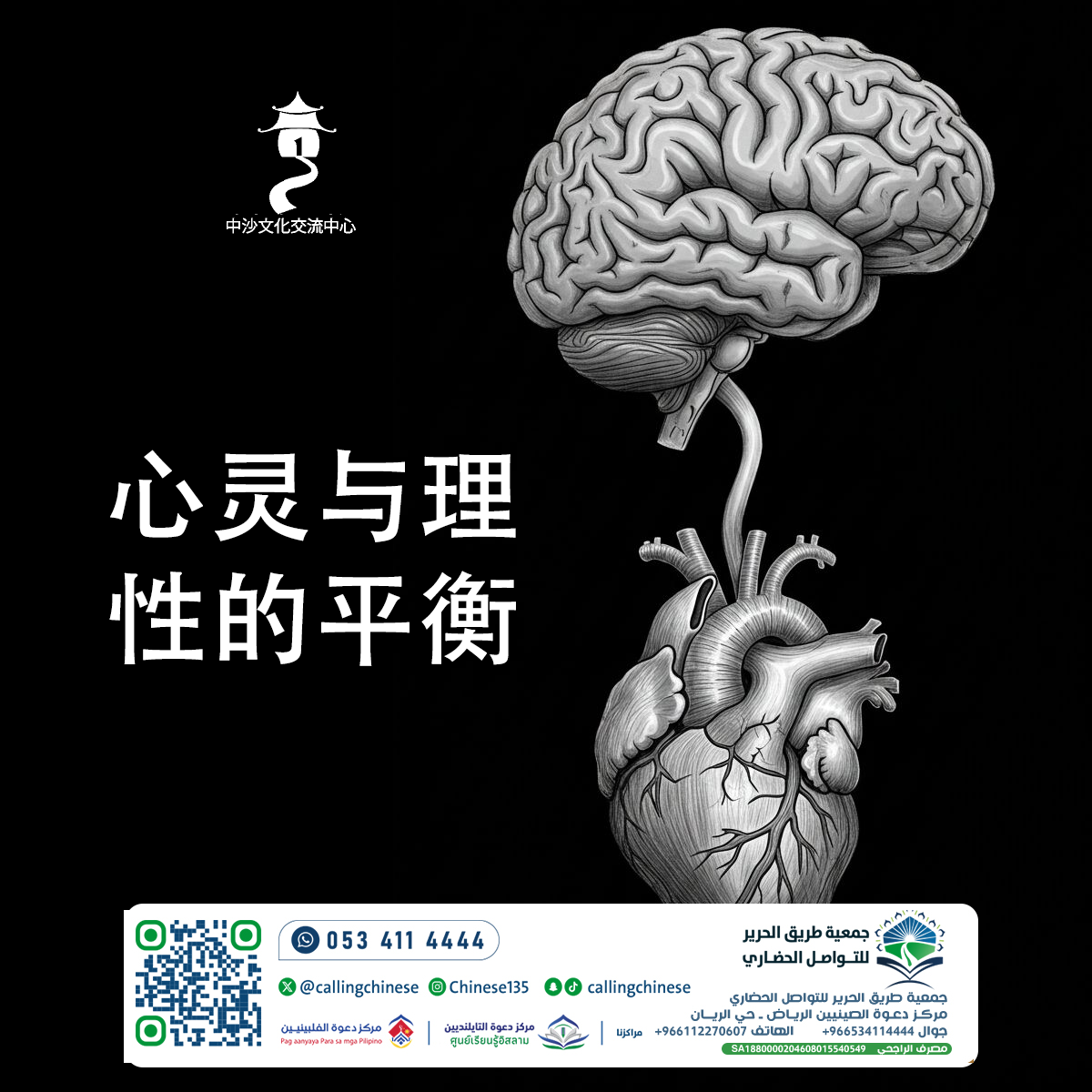 توازن الروح والعقل (باللغة الصينية)