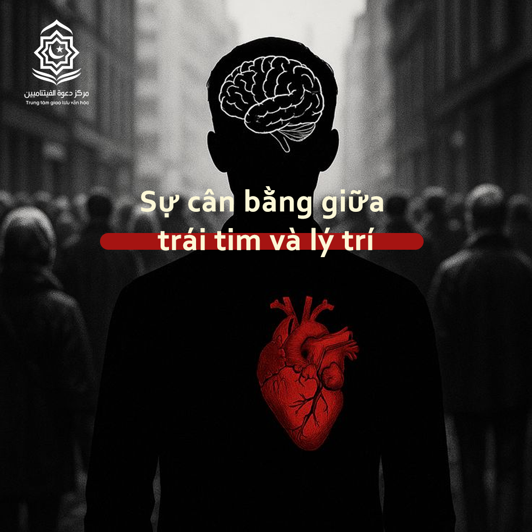 التوازن بين القلب والعقل (باللغة الفيتنامي)